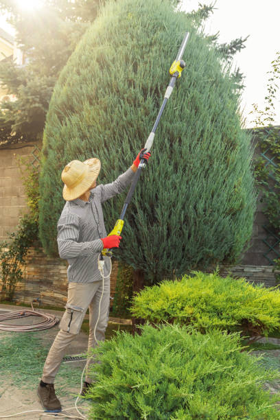 Best Soil Testing and Treatment  in Oak Grove, AL
